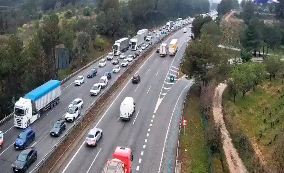 Trafico 203