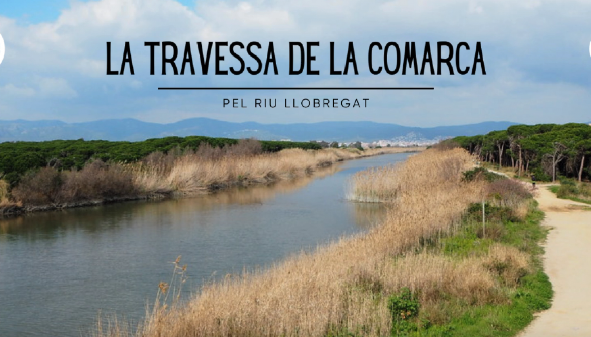 Travessa comarca