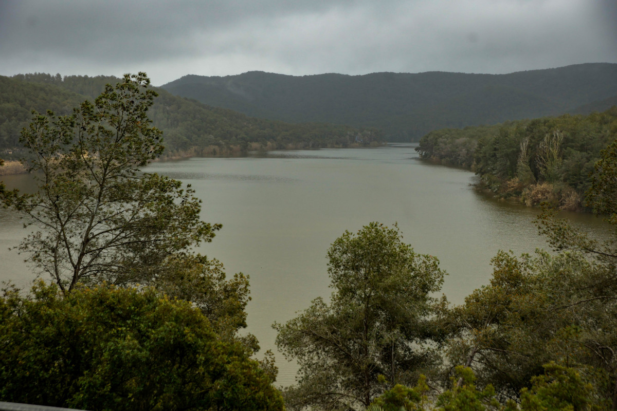 Vista del embalse de Foix al 100% de su capacidad, a 19 de marzo de 2025.