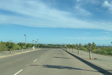 Arbolespequenosvilapress2