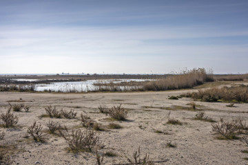 Platja de Ca l'Arana. iii