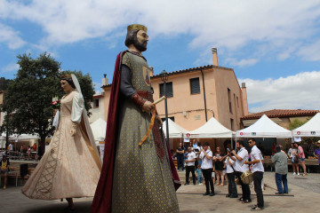 Fira i exhibicions (325)