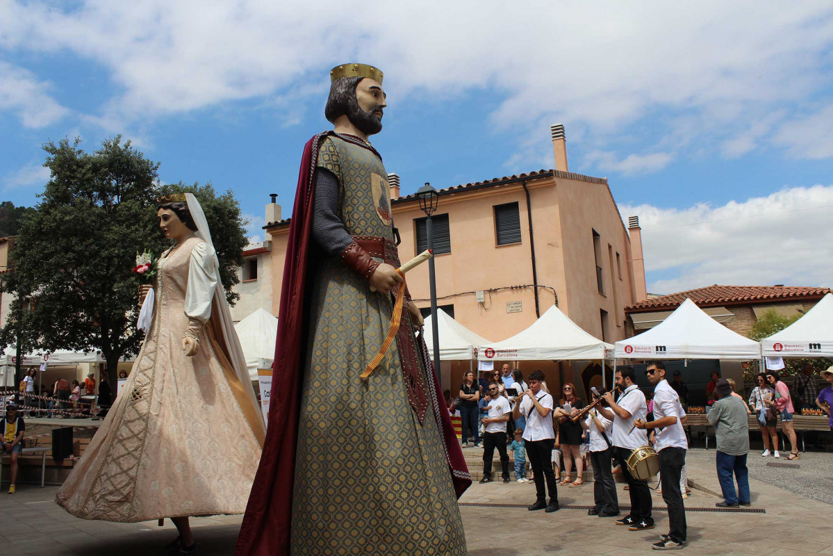 Fira i exhibicions (325)