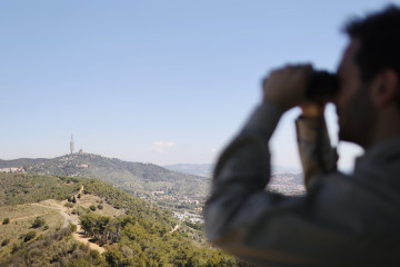 IMG 7503