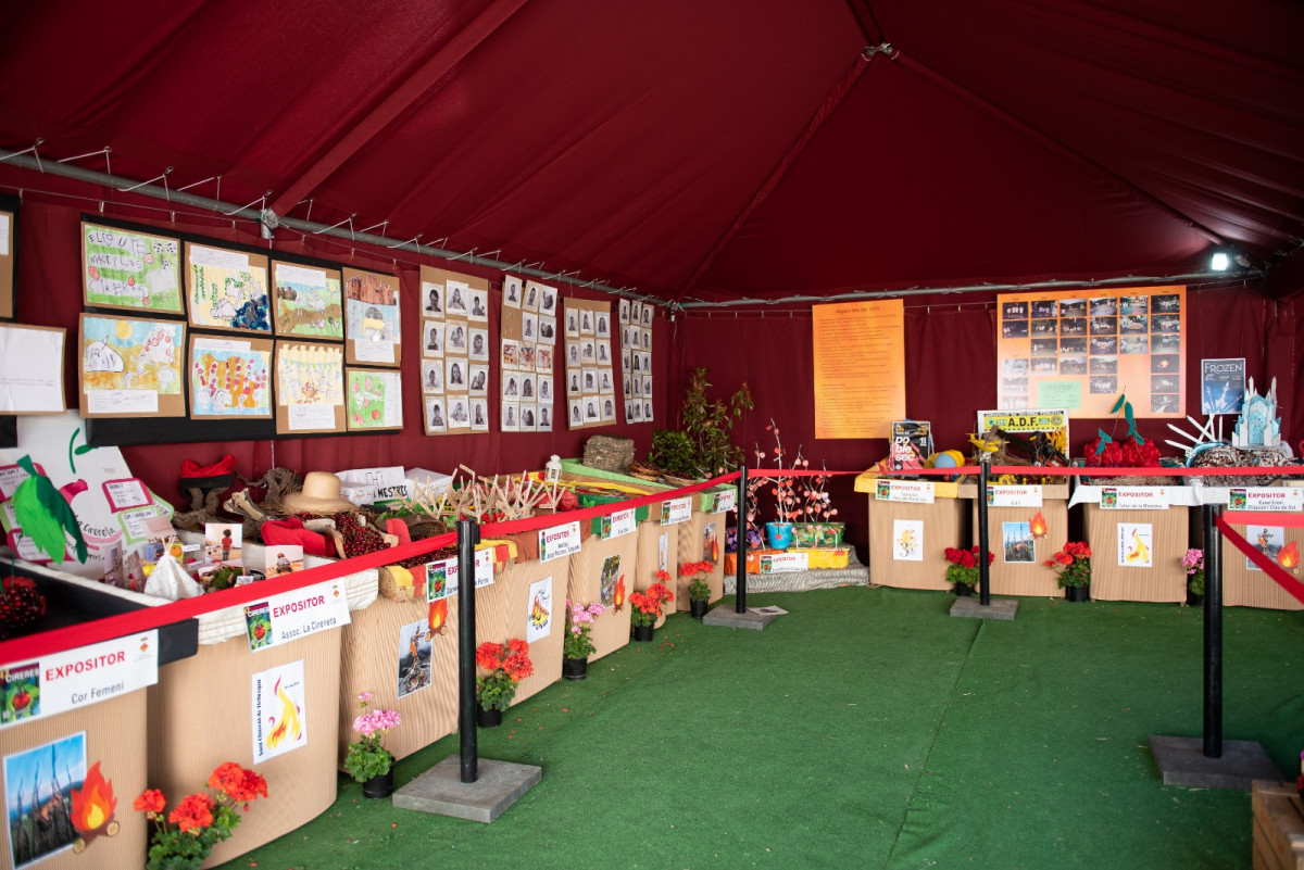 Exposiciu00f3 2024 (2)