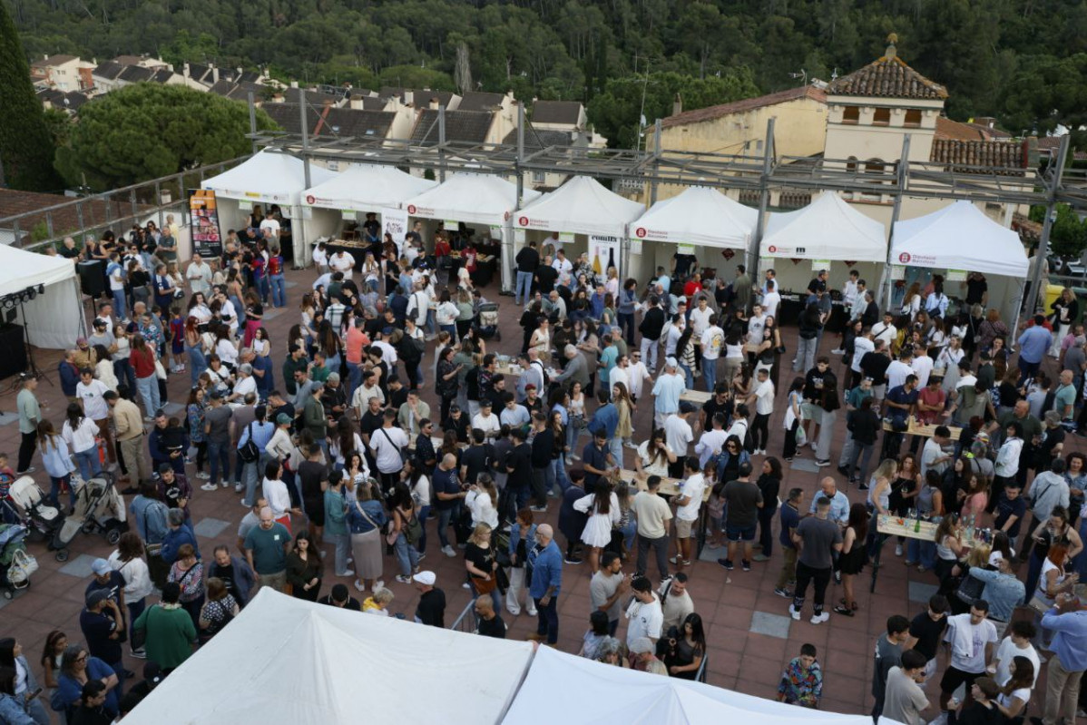 20250517 Fira del vi web