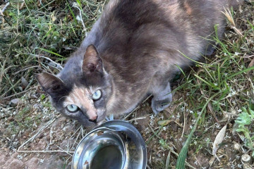 Photo 2025 05 28 14 01 44 2