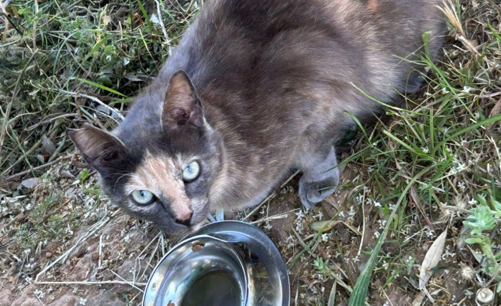 Photo 2025 05 28 14 01 44 2