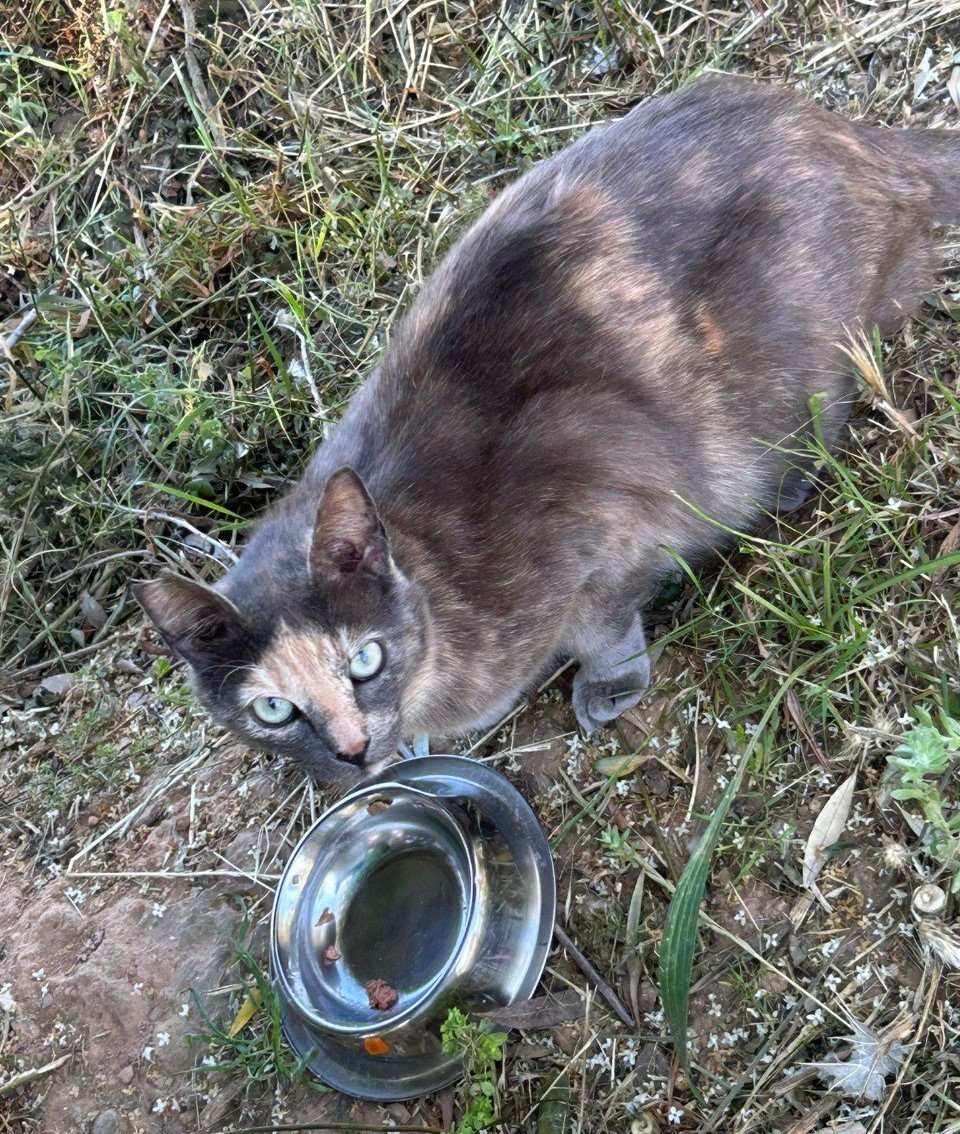 Photo 2025 05 28 14 01 44 2
