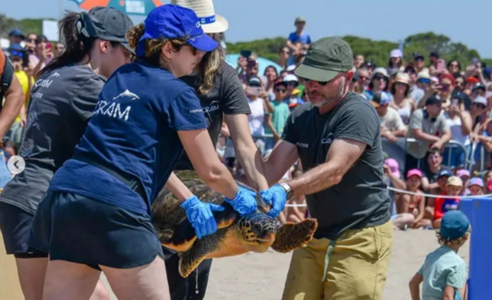 Vilapress tortuguesprat