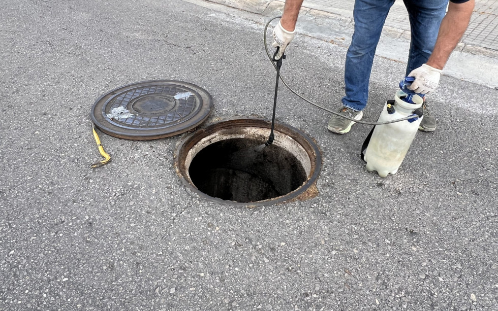 Molins de Rei arranca una campaña contra las cucarachas