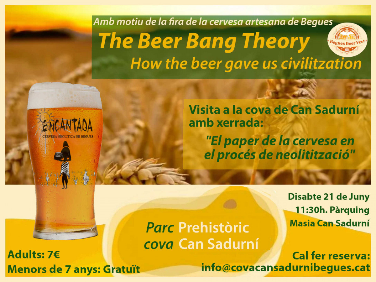 The Beer Bang Theory