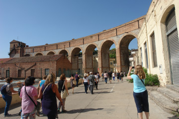 Dsc05153