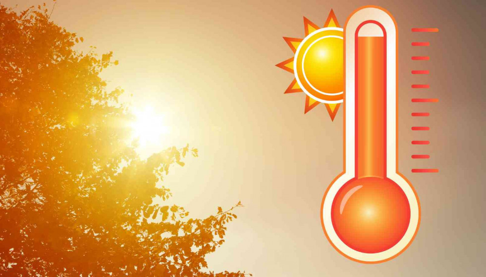 Calor   CANVA