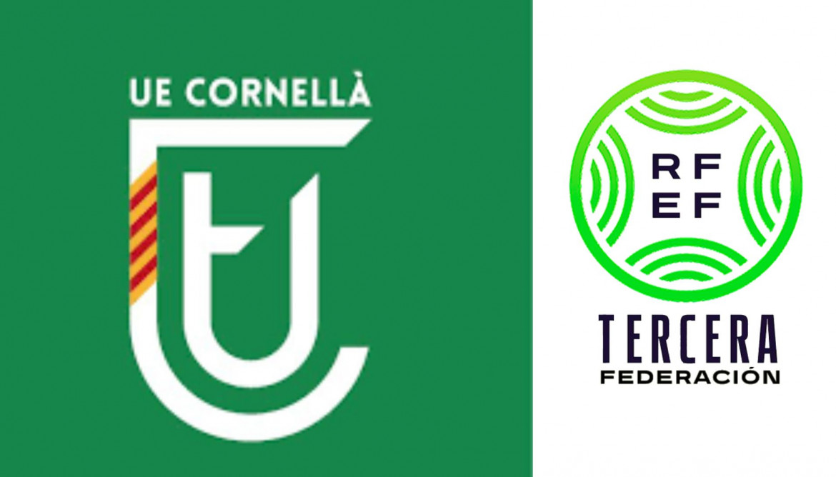 NO SORTIR A LA TERRASSA, HI HA AVESPES (5)