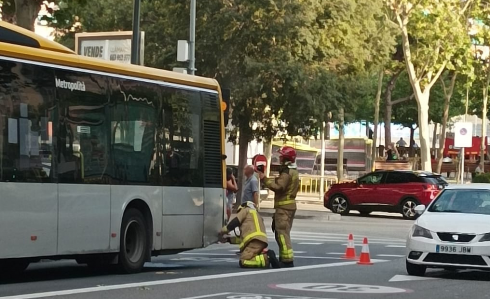 WhatsApp Image 2025 08 04 at 19.26.47