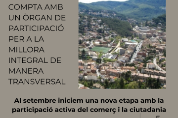 Consell consultiu comerc post