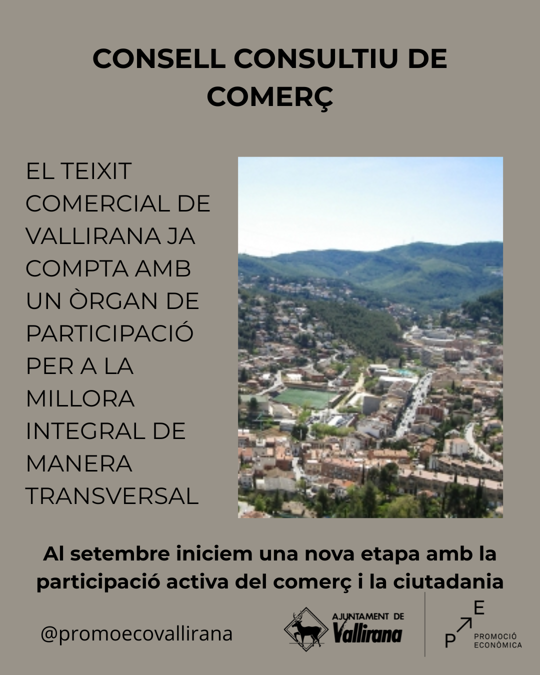 Consell consultiu comerc post