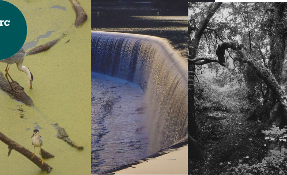 Expo Viu el parc 2025