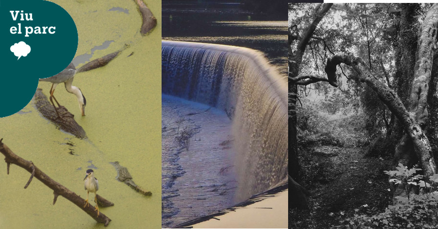 El Centre Cívic El Roure de Begues acoge la exposición fotográfica del 30º concurso Viu el parc