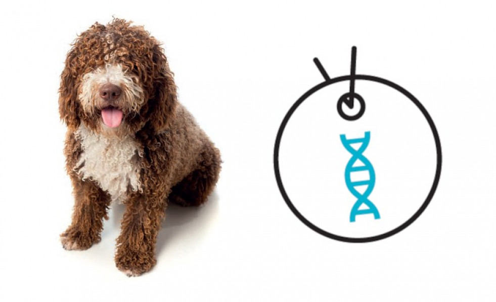 9d0700bc 8753 478e ad9d b0a9c023074b