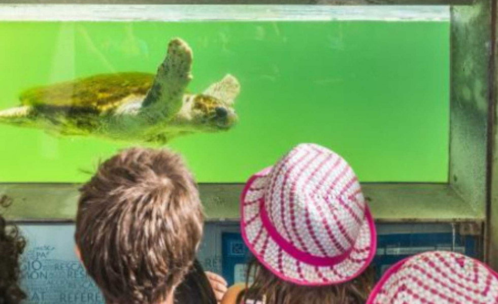 Niños disfrutando de actividades acuáticas   Consorci de Turisme del Baix Llobregat