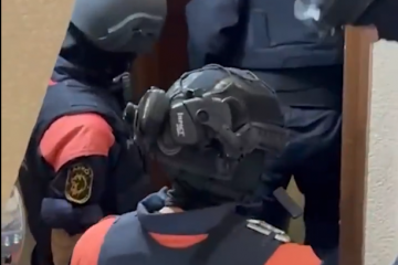 Mossos