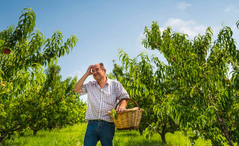 GASTRONOMÍA PARC AGRARI