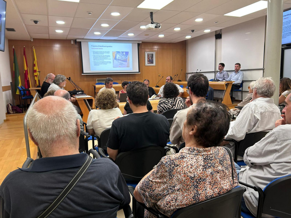La Generalitat abrirá la fosa común del Cementerio Viejo de Abrera para identificar a las víctimas