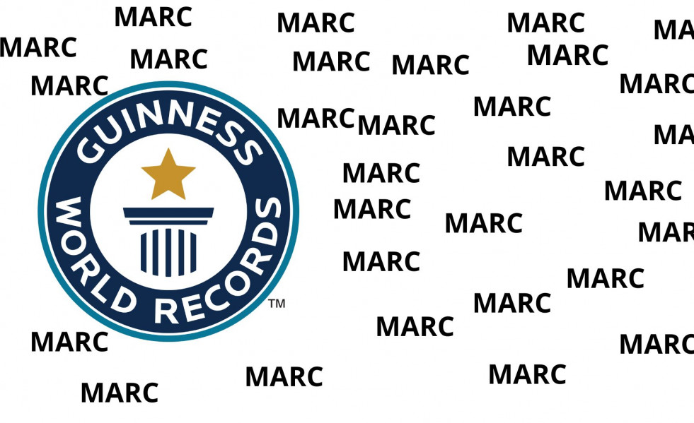 NO SORTIR A LA TERRASSA, HI HA AVESPES