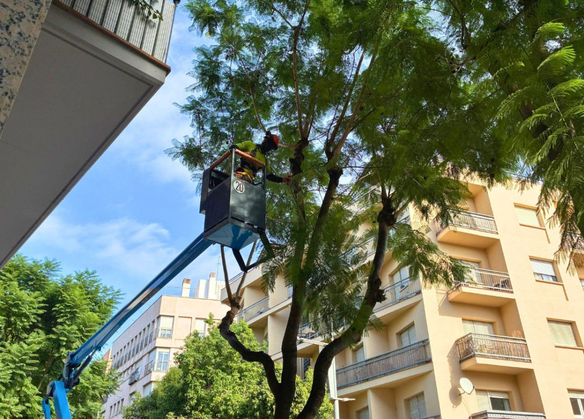 2025 10 06 11 49 30 foto poda noti