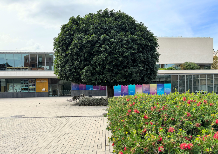 Sant Joan Despí, ejemplo de ciudad verde, obtiene la distinción ‘Viles Florides’