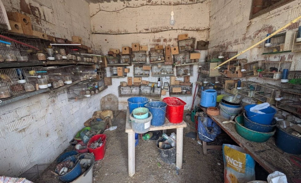 Jaulas de pájaros en mal estado