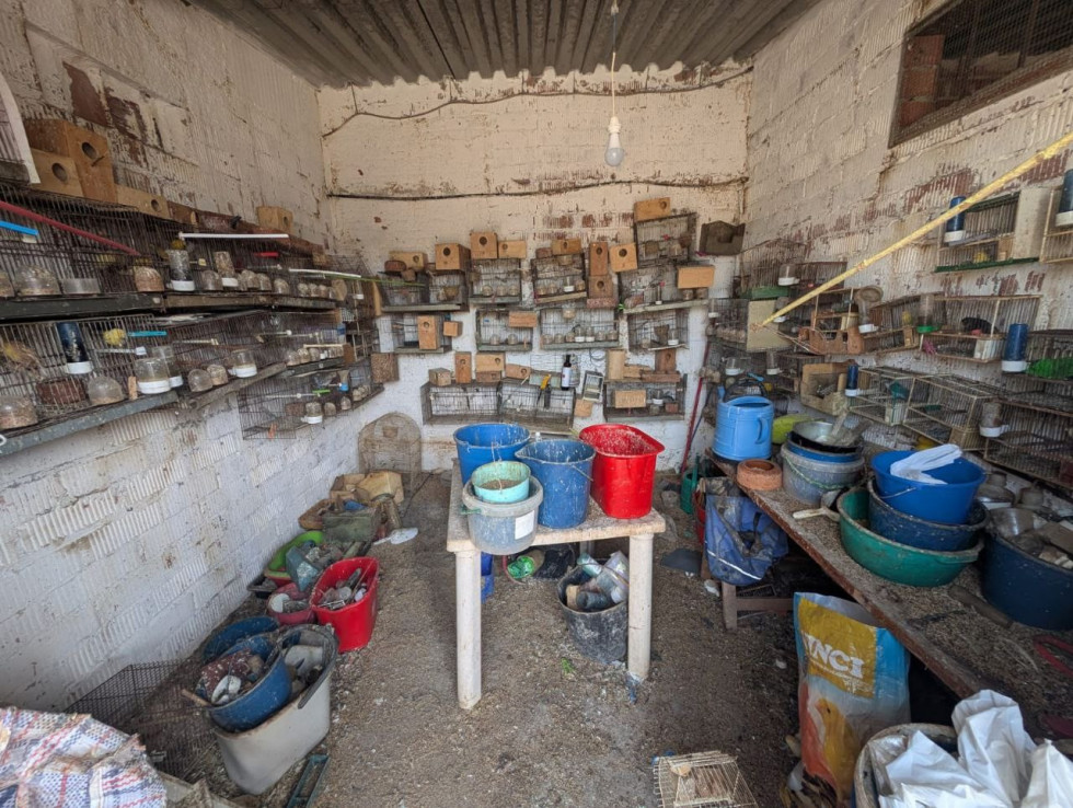 Denunciado en Viladecans un hombre por tener en mal estado 79 aves exóticas