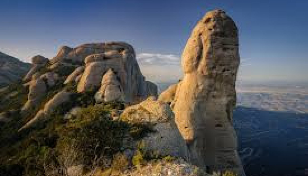 Cavall bernat dia 18