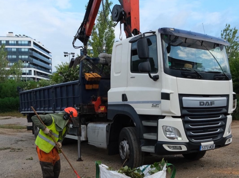 Sant Joan Despí renueva el arbolado para adaptarse al cambio climático