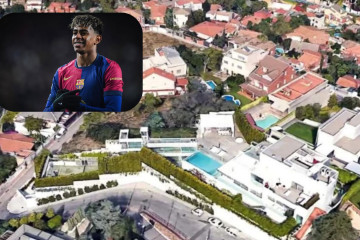 NO SORTIR A LA TERRASSA, HI HA AVESPES (1)