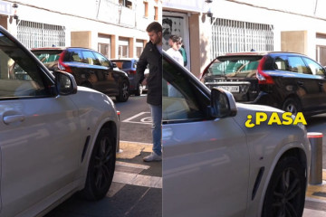 NO SORTIR A LA TERRASSA, HI HA AVESPES (4)