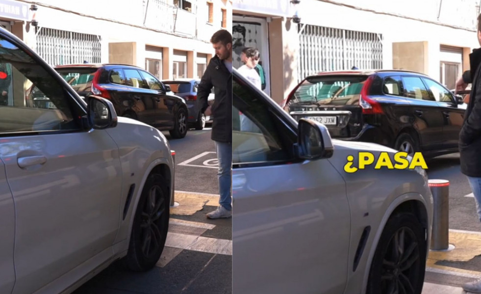 NO SORTIR A LA TERRASSA, HI HA AVESPES (4)