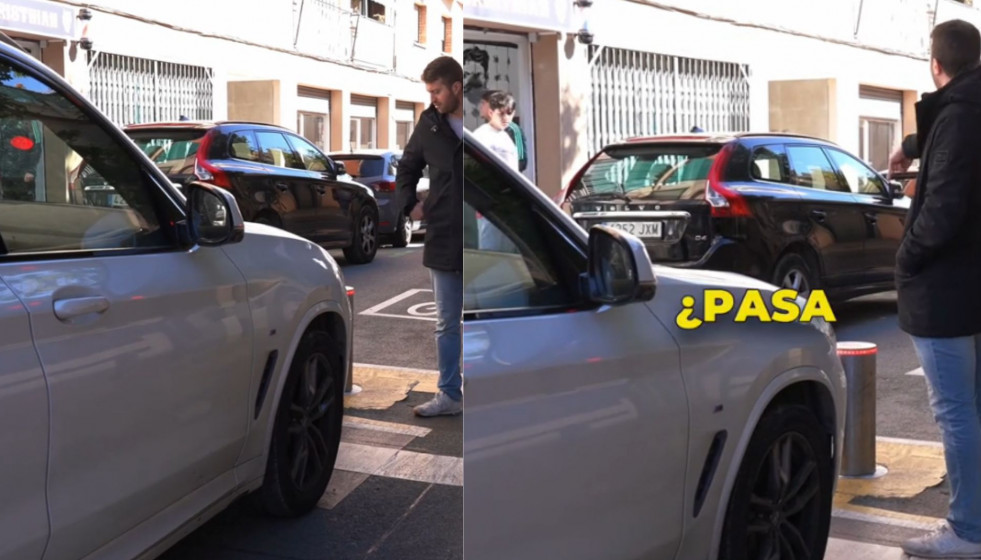 NO SORTIR A LA TERRASSA, HI HA AVESPES (4)