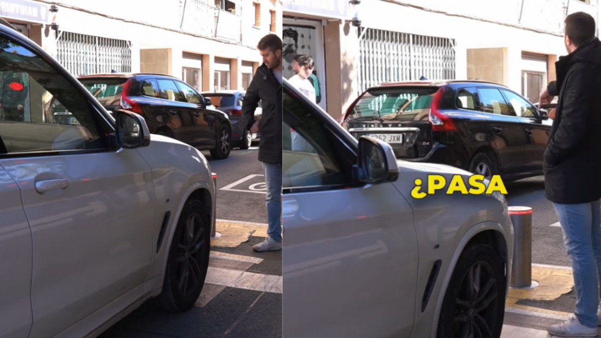 NO SORTIR A LA TERRASSA, HI HA AVESPES (4)