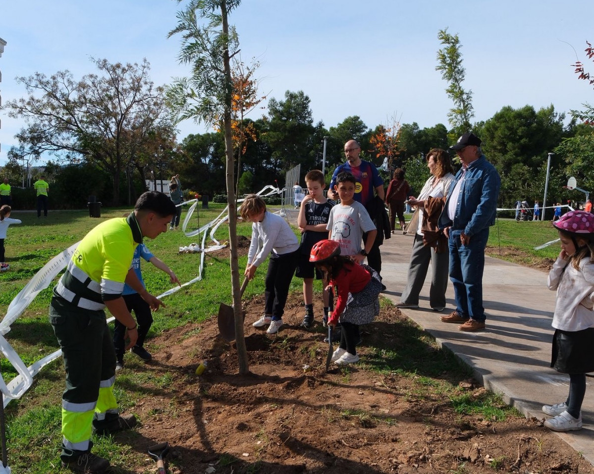 87 Plantada arbres parc Milenari 1