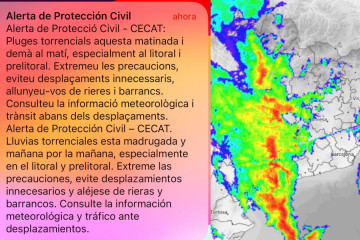 NO SORTIR A LA TERRASSA, HI HA AVESPES (6)