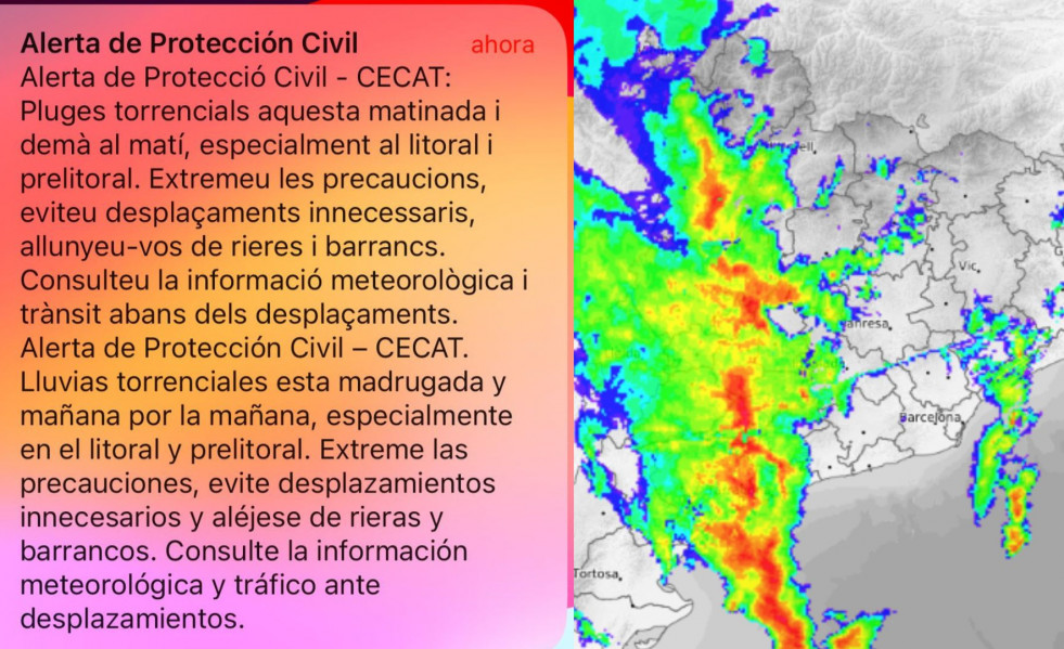 NO SORTIR A LA TERRASSA, HI HA AVESPES (6)