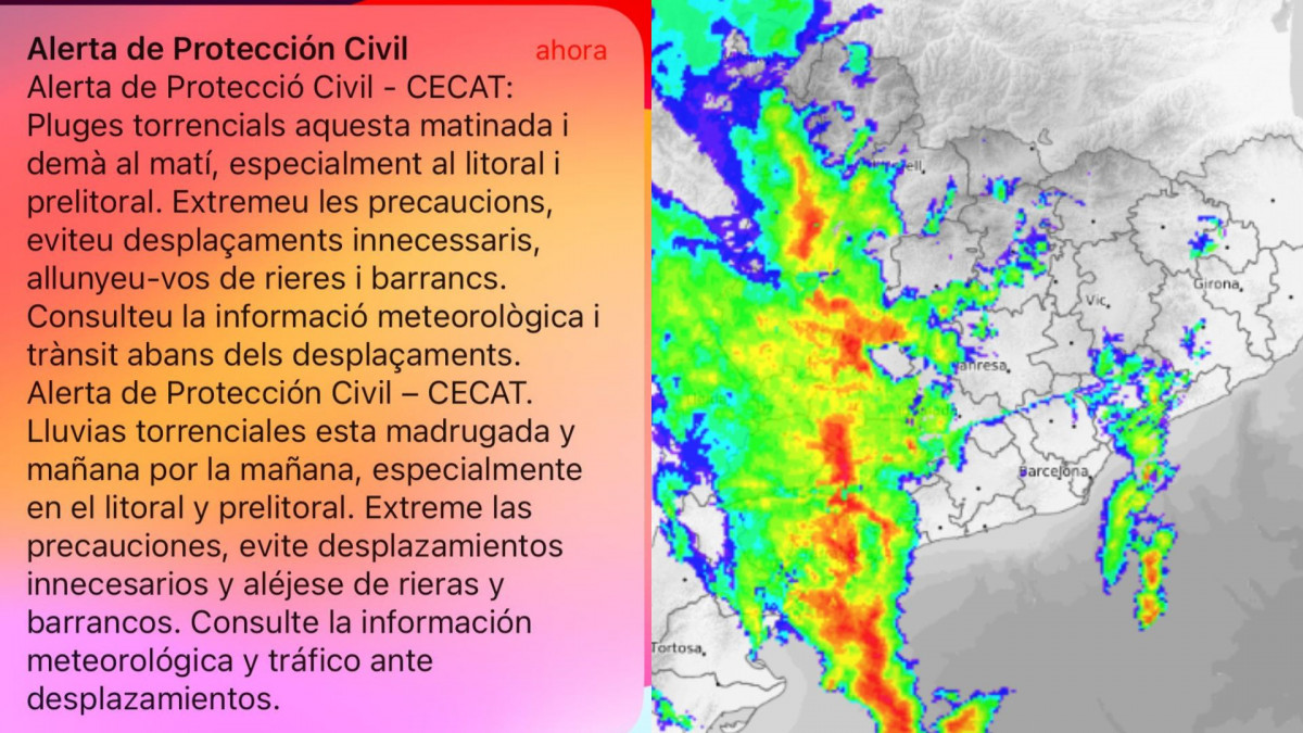 NO SORTIR A LA TERRASSA, HI HA AVESPES (6)