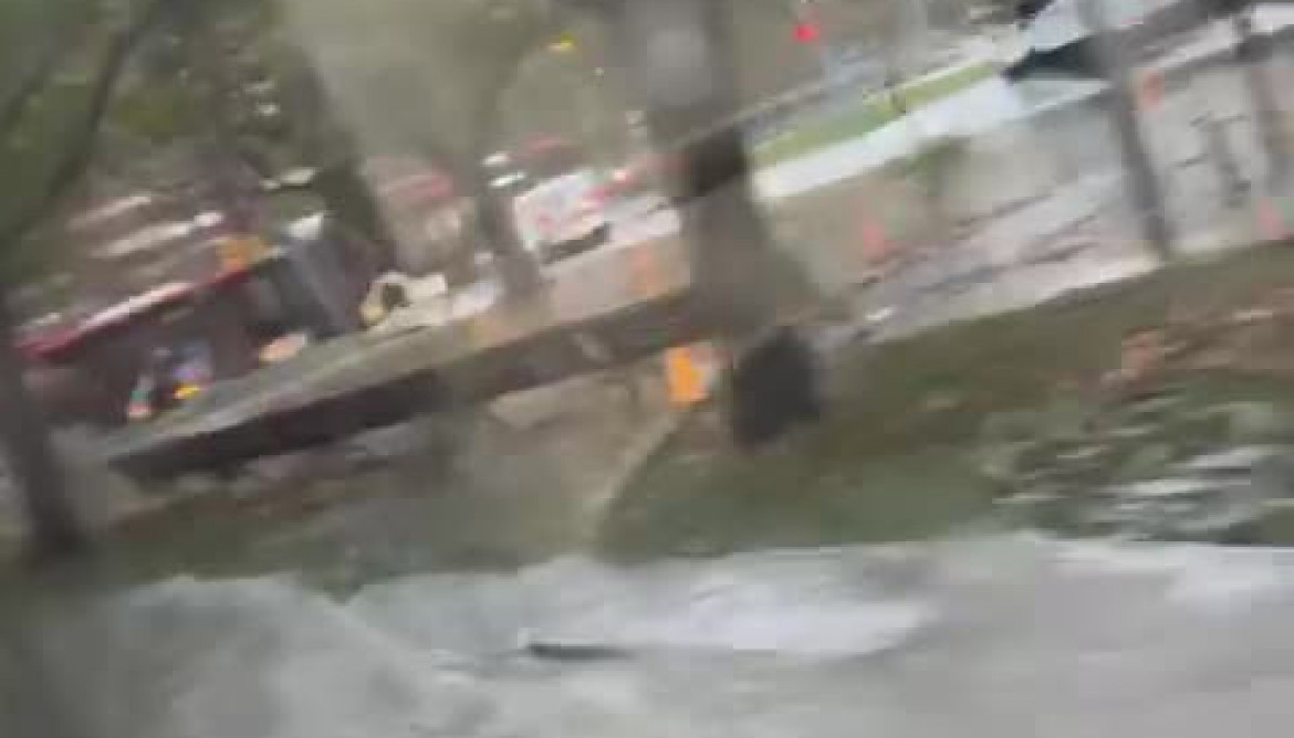 WhatsApp Video 2025 11 06 at 09.13.25