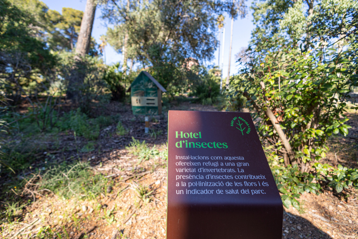 Parc de Marianao Hotel insectes