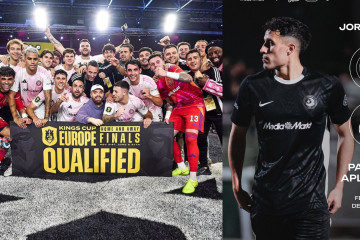 NO SORTIR A LA TERRASSA, HI HA AVESPES (7)