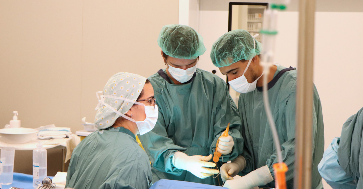 Viladecans ofereix la pru00f2tesi de penis com a u00faltima alternativa terapu00e8utica de la disfunciu00f3 eru00e8ctil 2