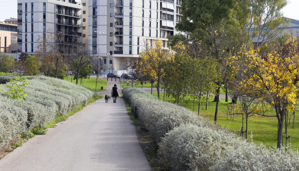 Parc Fontsanta Novembre 2025 18